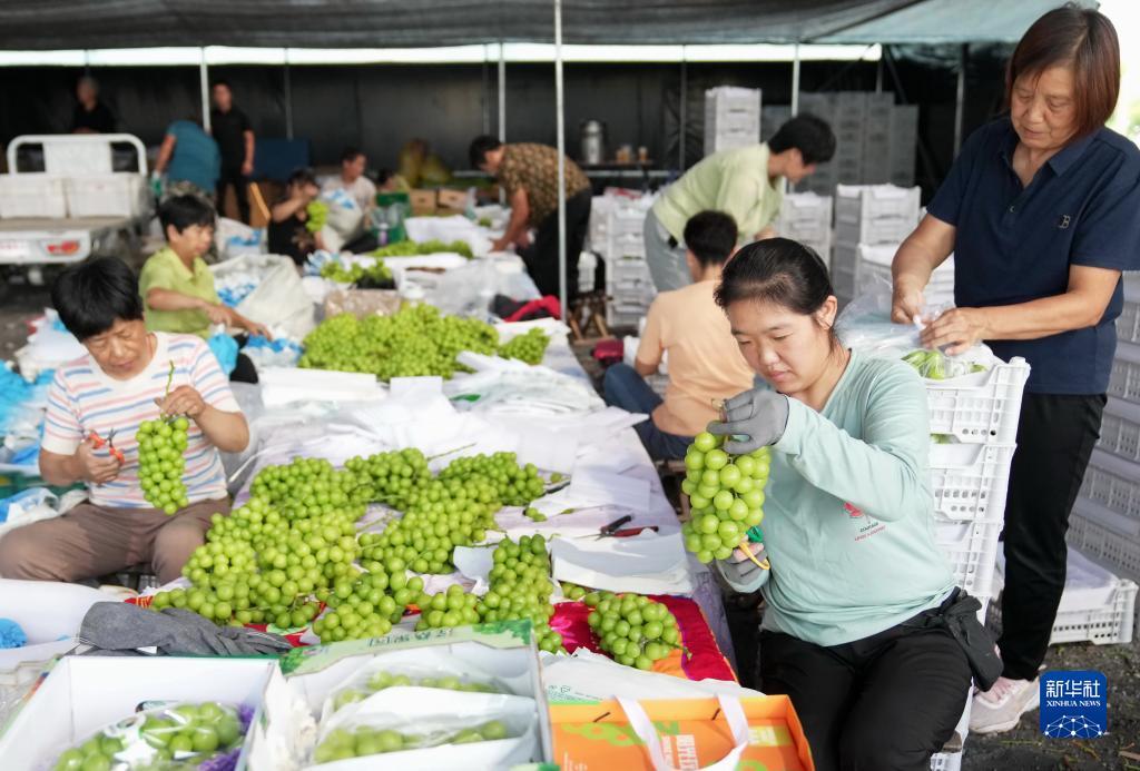 电子游戏开户